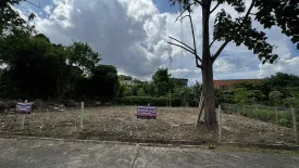 Land for sale in Baan Suan Nonsi, Nong Chom, Chiang Mai