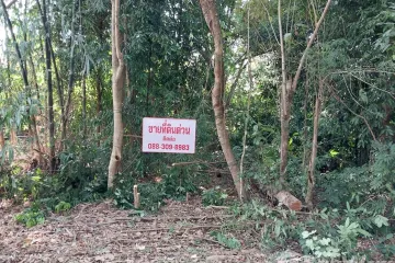 Land for sale in Phu Kradueng, Loei