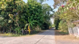 Land for sale in Phu Kradueng, Loei