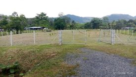 Land for sale in Thep Krasatti, Phuket