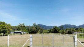 Land for sale in Thep Krasatti, Phuket
