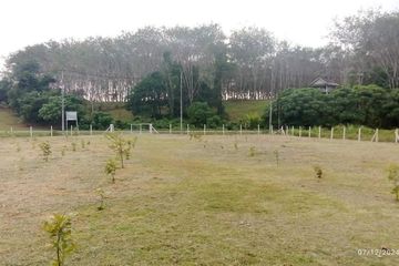 Land for sale in Thep Krasatti, Phuket