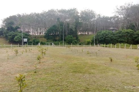 Land for sale in Thep Krasatti, Phuket