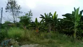 Land for sale in Chalong, Phuket