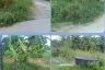 Land for sale in Chalong, Phuket