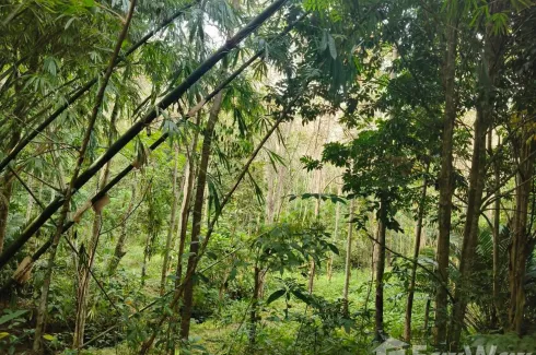 Land for sale in Pa Khlok, Phuket