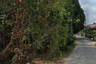Land for sale in Thep Krasatti, Phuket