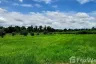 Land for sale in Na Kwang, Udon Thani