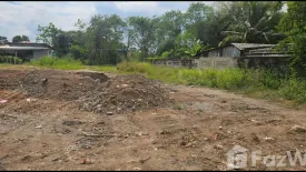 Land for sale in Nong Sarai, Nakhon Ratchasima