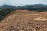 Land for sale in Pa Khlok, Phuket