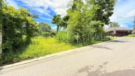 Land for sale in Nong Prue, Chonburi