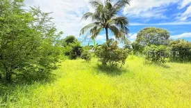 Land for sale in Nong Prue, Chonburi