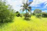 Land for sale in Nong Prue, Chonburi