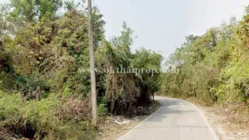 Land for sale in Bo Haeo, Lampang