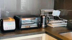 1 Bedroom Condo for rent in Quattro by Sansiri, Khlong Tan Nuea, Bangkok near BTS Thong Lo