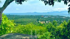 Land for sale in Ko Pha-ngan, Surat Thani