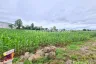 Land for sale in Kan Chu, Phetchabun