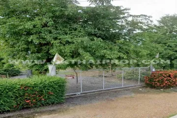 Land for sale in Wang Samrong, Phichit