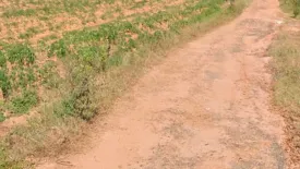 Land for sale in Lung Khwao, Nakhon Ratchasima