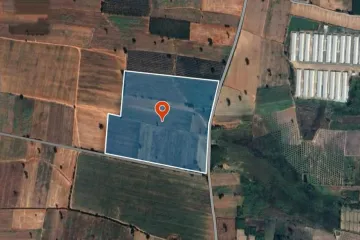 Land for sale in Lung Khwao, Nakhon Ratchasima