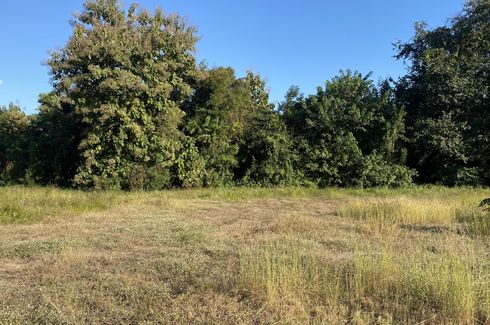 Land for sale in Nam Phrae, Chiang Mai