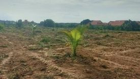 Land for sale in Nong Prue, Chonburi
