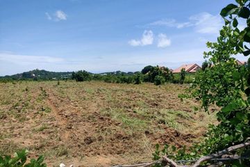 Land for sale in Nong Prue, Chonburi