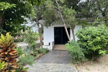 Land for sale in Summit Green Valley, Mae Sa, Chiang Mai