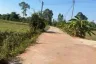 Land for sale in Nong Phrong, Prachin Buri
