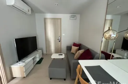 1 Bedroom Condo for rent in Nue Noble Ngamwongwan, Bang Khen, Nonthaburi