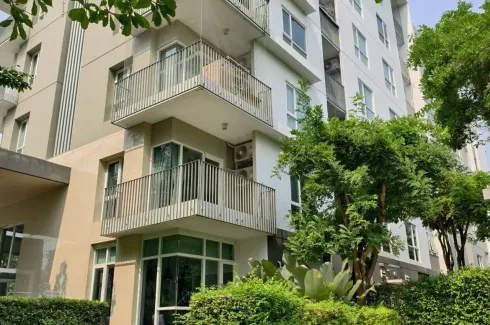 1 Bedroom Condo for rent in North Condo Serene Lake, Mae Hia, Chiang Mai