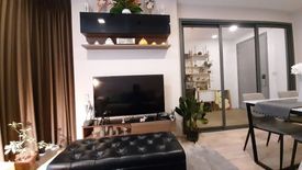 2 Bedroom Condo for rent in Taka Haus Ekamai 12, Khlong Tan Nuea, Bangkok near BTS Ekkamai