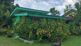 11 Bedroom Hotel / Resort for sale in Mae Nam, Surat Thani