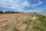 Land for sale in Nong Prue, Chonburi