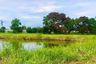 Land for sale in Bang Chalong, Samut Prakan
