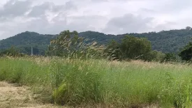 Land for sale in Nong Sarai, Nakhon Ratchasima