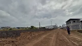 Land for sale in Pinthongland Factory Village, Lahan, Nonthaburi