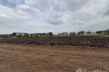Land for sale in Pinthongland Factory Village, Lahan, Nonthaburi