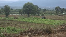 Land for sale in Pong Talong, Nakhon Ratchasima