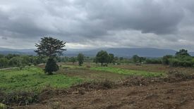 Land for sale in Pong Talong, Nakhon Ratchasima