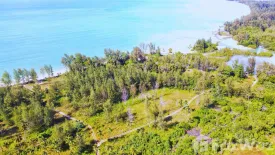 Land for sale in Bang Muang, Phang Nga