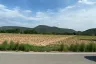 Land for sale in Phatthana Nikhom, Lopburi