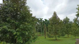 Land for sale in Phlapphla, Chanthaburi