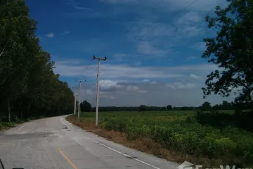 Land for sale in Nong Saeng, Chainat