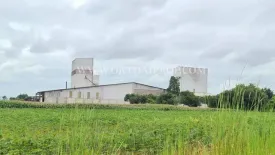 Land for sale in Kan Chu, Phetchabun