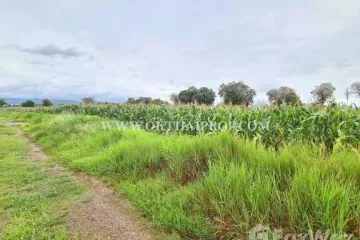 Land for sale in Kan Chu, Phetchabun