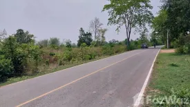 Land for sale in Mai, Nakhon Ratchasima