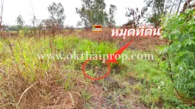 Land for sale in Homok, Phra Nakhon Si Ayutthaya