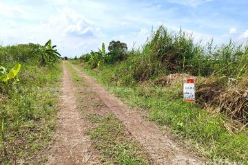 Land for sale in Na Mai, Pathum Thani