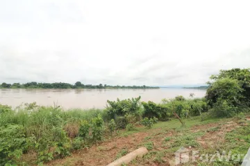 Land for sale in Chumphon, Nong Khai